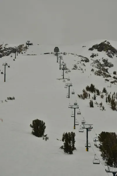 DSC_6719 (Large).JPG